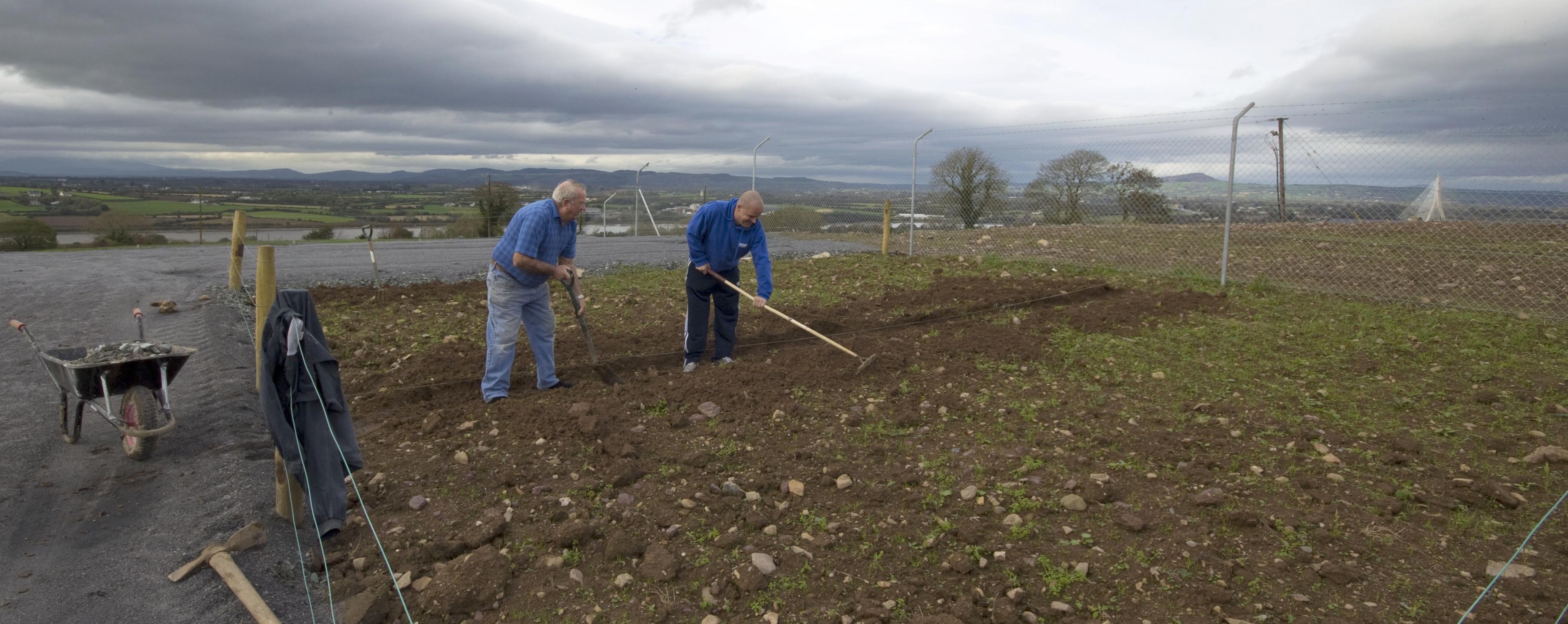 Photo of people working in Allotment in Roanmore